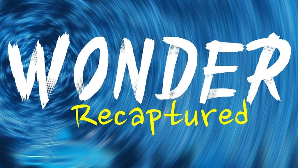 Wonder Recaptured: Zoom Out