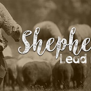 Shepherd: Go and Make