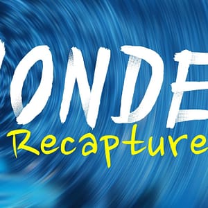 Wonder Recaptured: Zoom Out