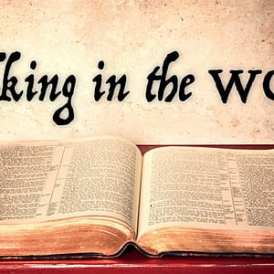 Walking in the Word: Chasing after the wind