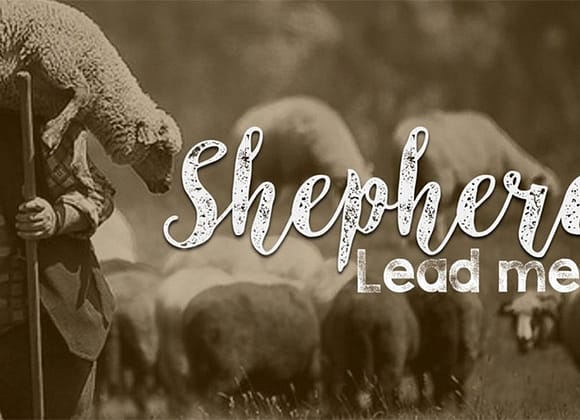 Shepherd: Go and Make