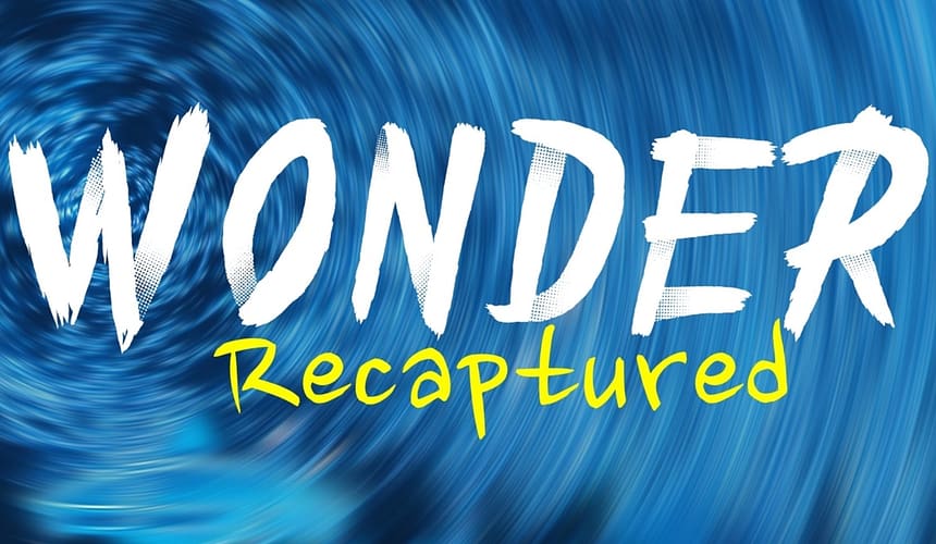 Wonder Recaptured: Zoom Out